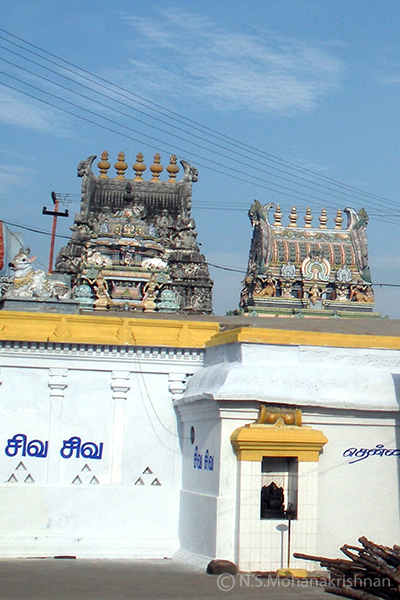 arani-pitchandeswarar3