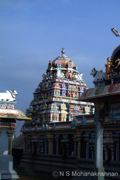 ariyathurai-varamorthi1