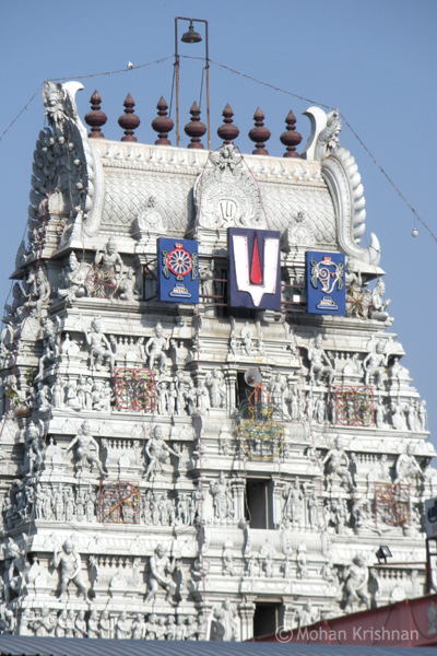 parthasarathy-triplicane-1