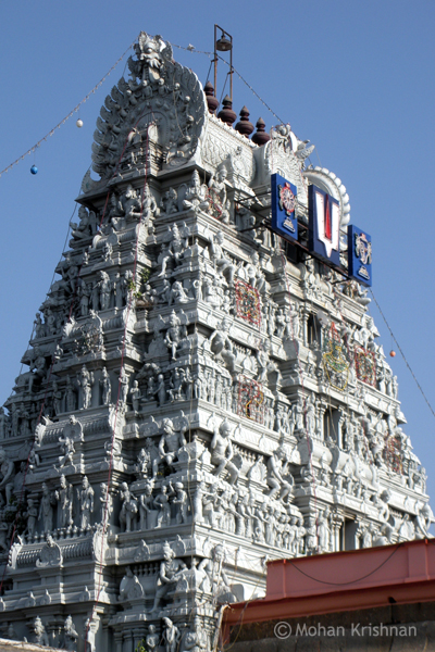 parthasarathy-triplicane-2