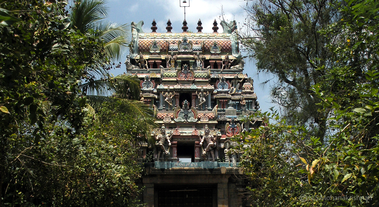 Thirukadambur-Amirthakadeswarar-Temple
