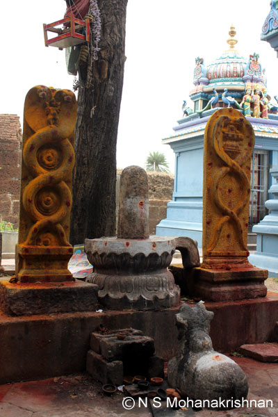 baleeswarar-ng6
