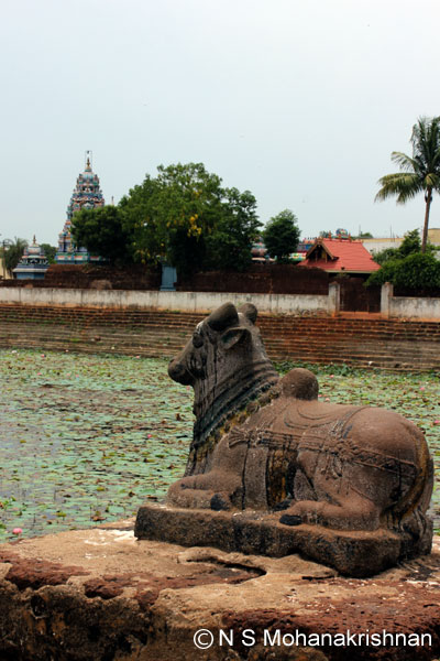 baleeswarar-ng8
