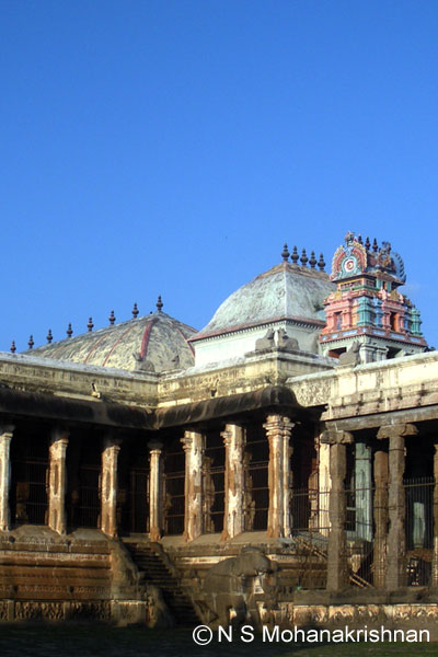 nataraja-chdmbrm-9