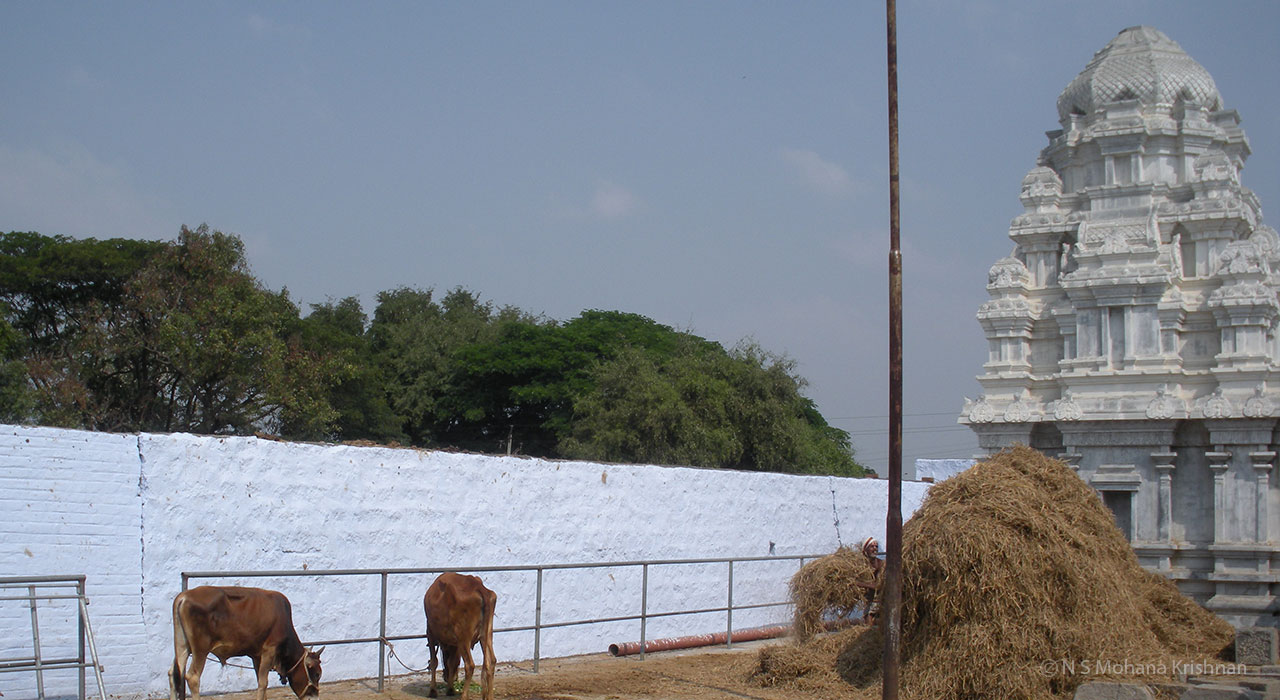 Arcot-Varadarajar-Temple
