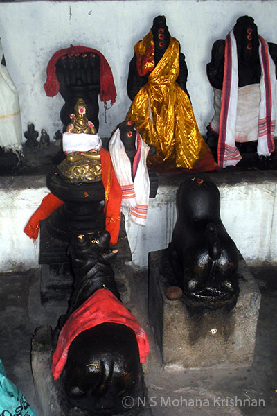 Chintamaneeswarar-Temple3