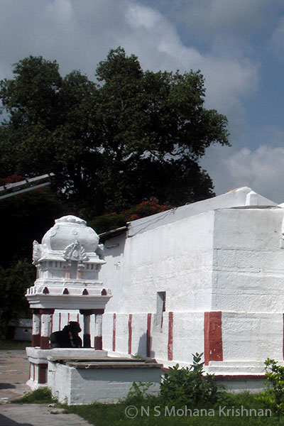 Ekkadu-Panchavarneswarar-Temple2