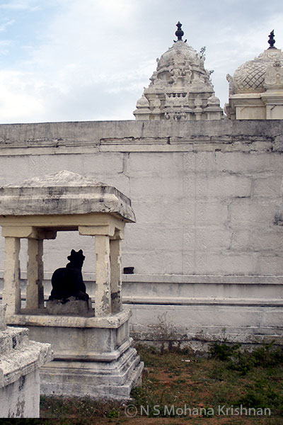 Nambakkam-Mantheeswarar-Temple3