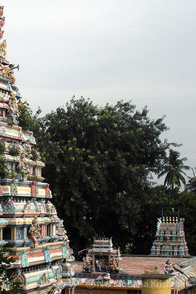 Panchesti-Agastheeswarar-Temple2