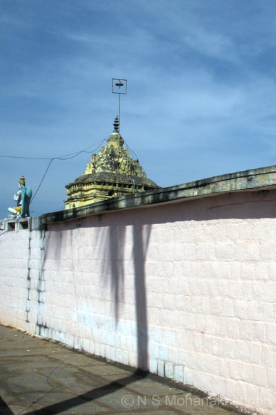chenroyasamy-salivaram02