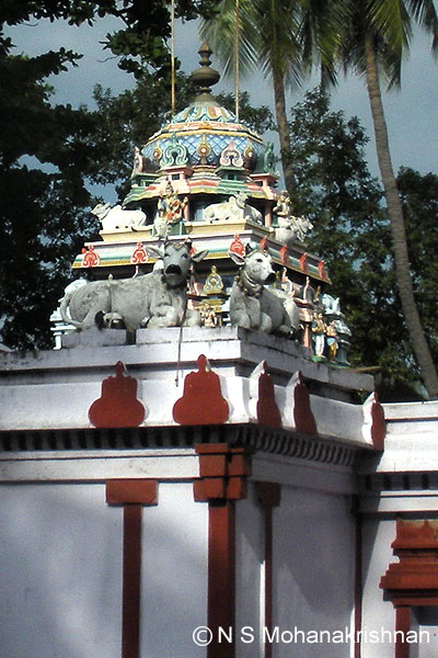 ekam-minjur-2