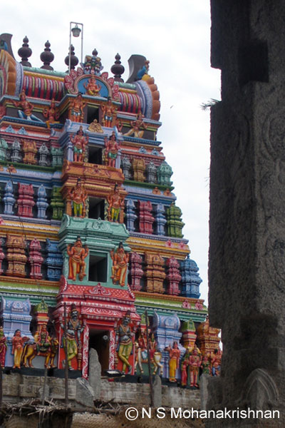 karimbedu-nadadswr-3