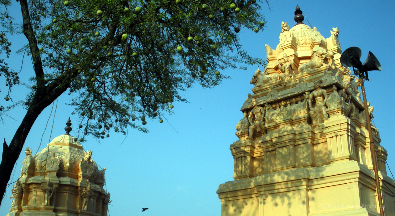kasiviswanadar1