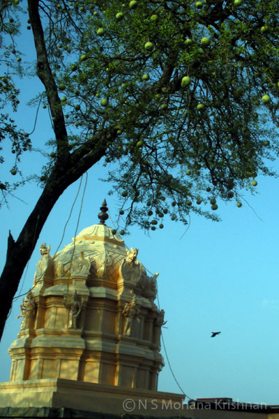 kasiviswanadar4