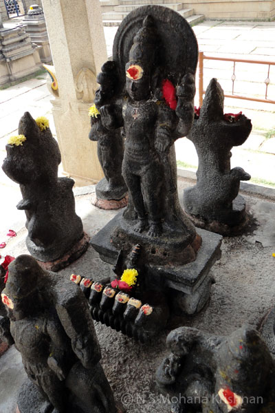 mallikarjunasamy3