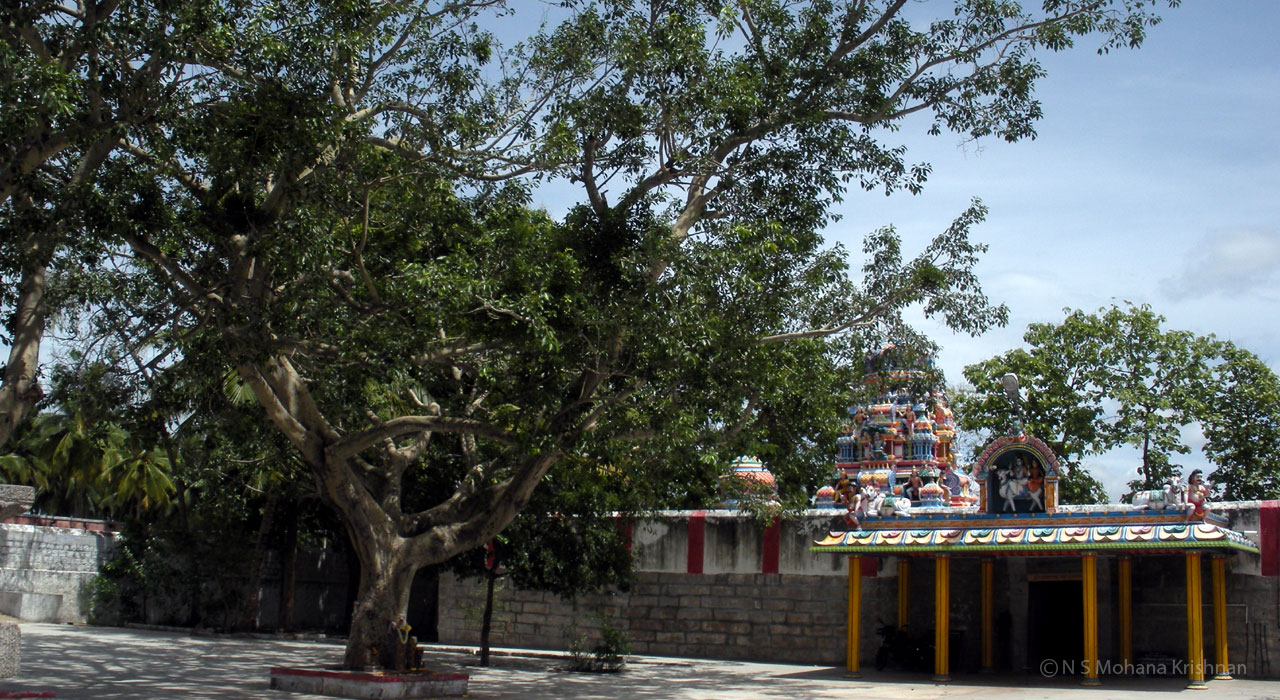 penneeswarar1