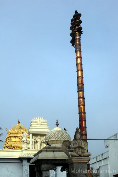 pvr-3