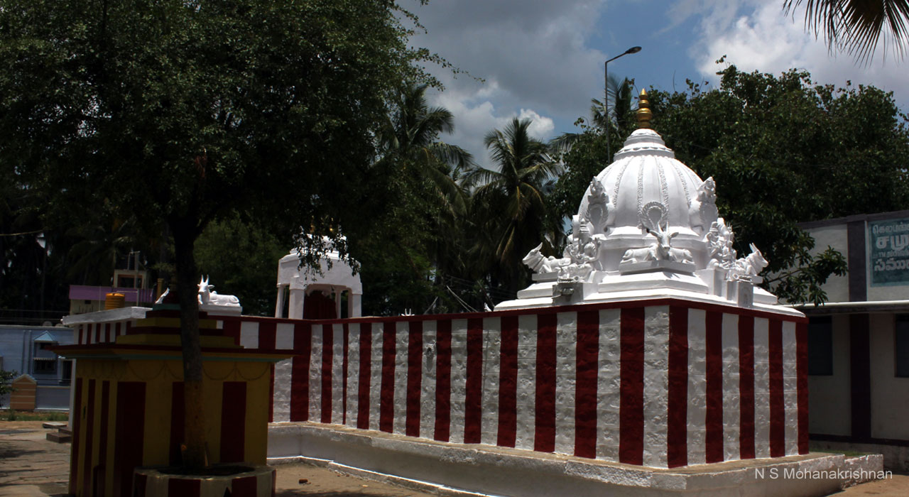 sidhi-kelmnglm-1