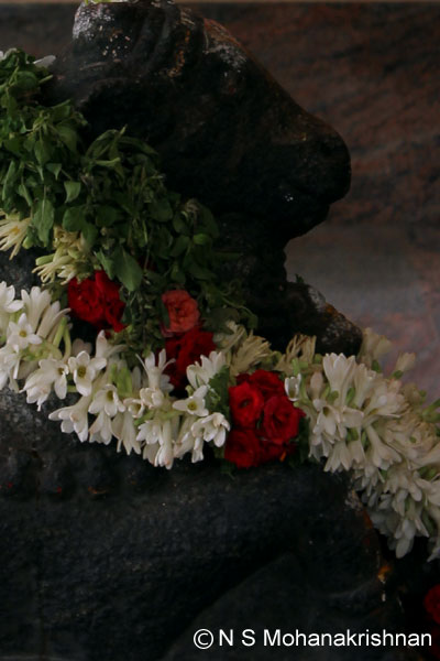 sidhi-kelmnglm-2