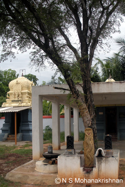 vellikaram-somanath-5