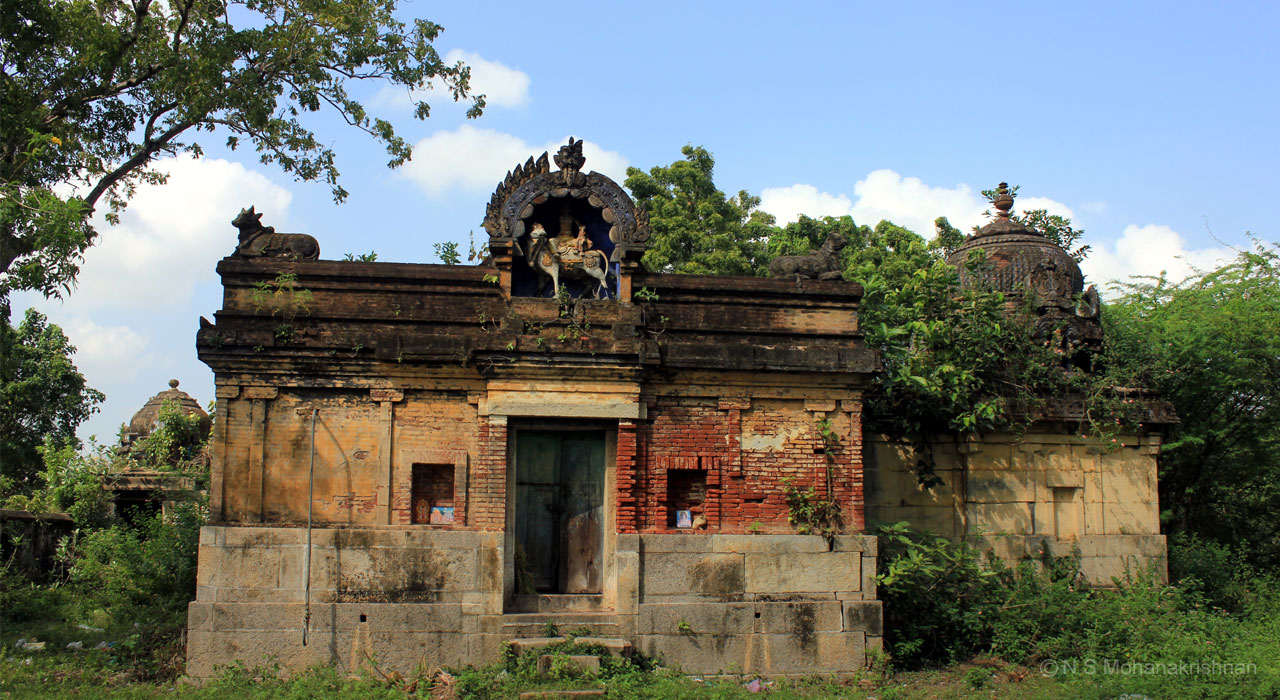 abaranadari-4