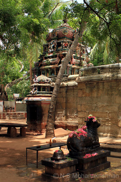 avaniyapuram-kalyanasundar (3)