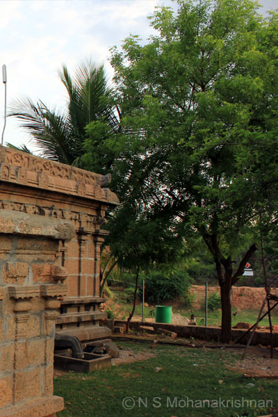 dargapatti-sivan-3
