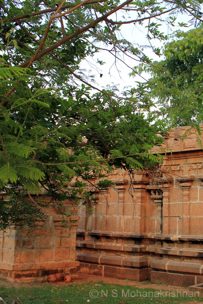 dargapatti-sivan-5