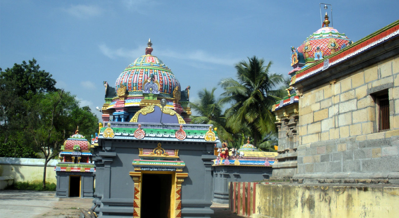 iluppaipattu-2