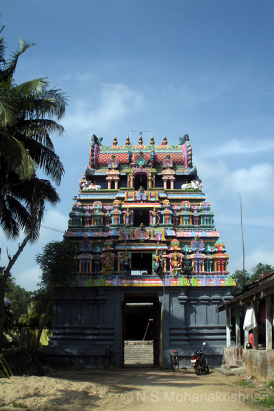 iluppaipattu-4