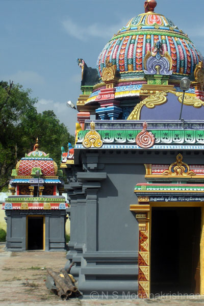 iluppaipattu-6