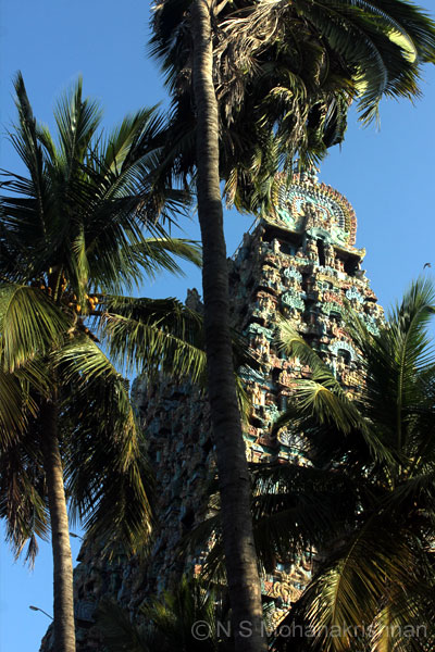 mayura-3
