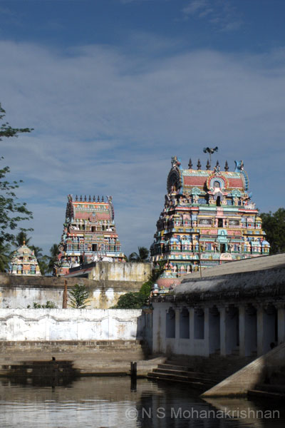 mayura-5