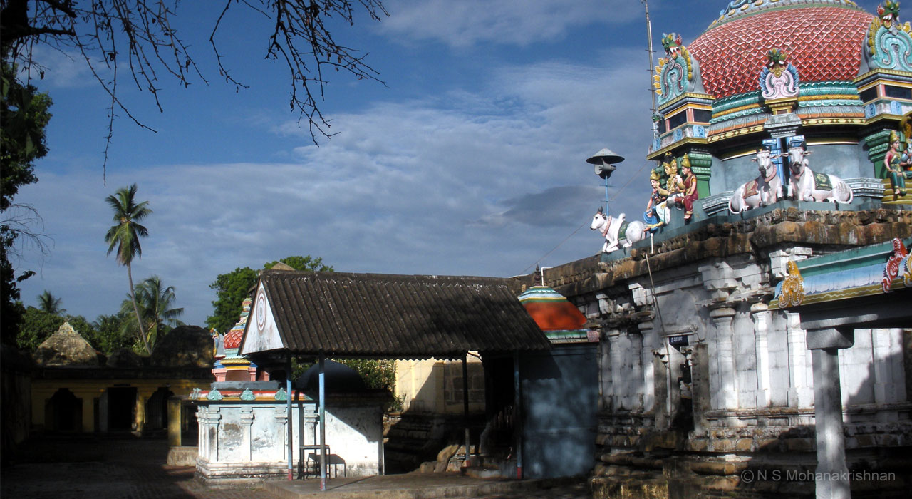 semponarkoil-4