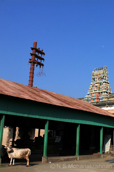 thiruvedagam-5