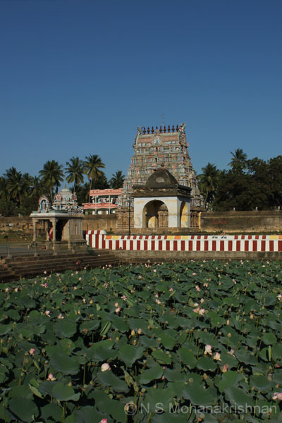 thiruvenkadu-1