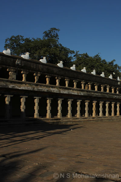 thiruvenkadu-3