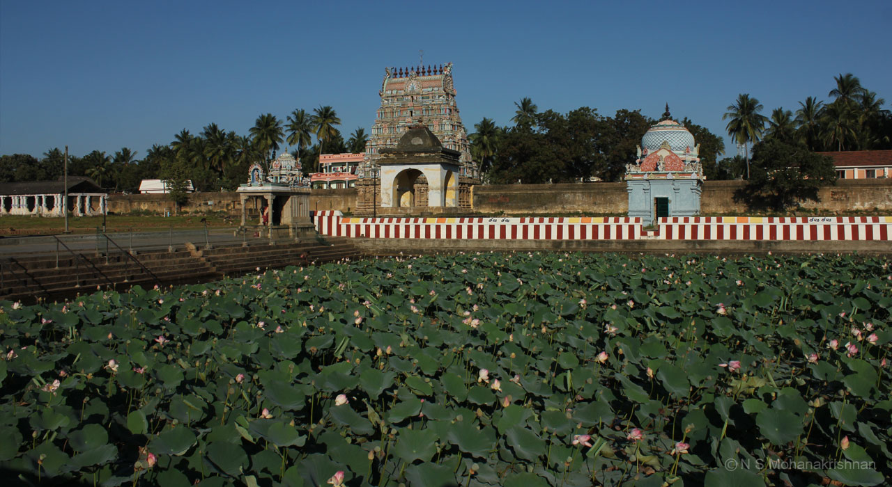 thiruvenkadu-5