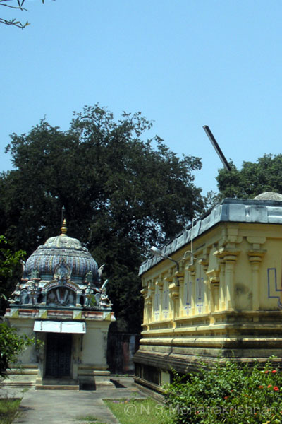 tiruchemponkoil-2