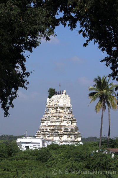 vadarangam-perumal3