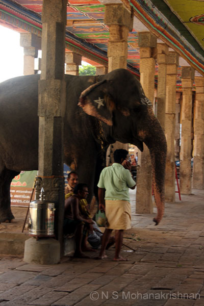 kumbeswarar-5