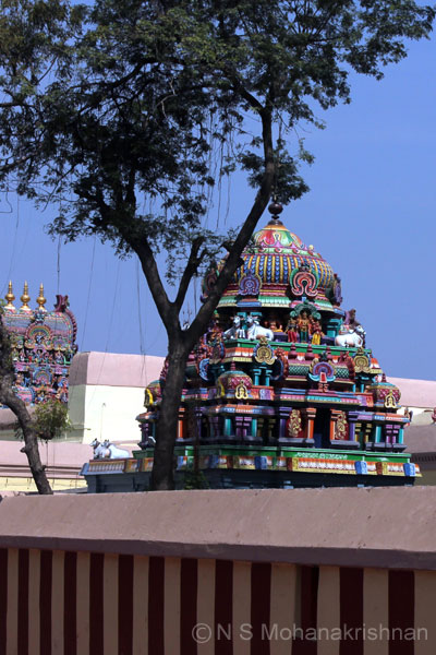 someswarar-kumbai-2