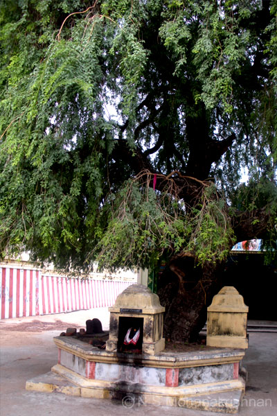 tirukarukkudi-2