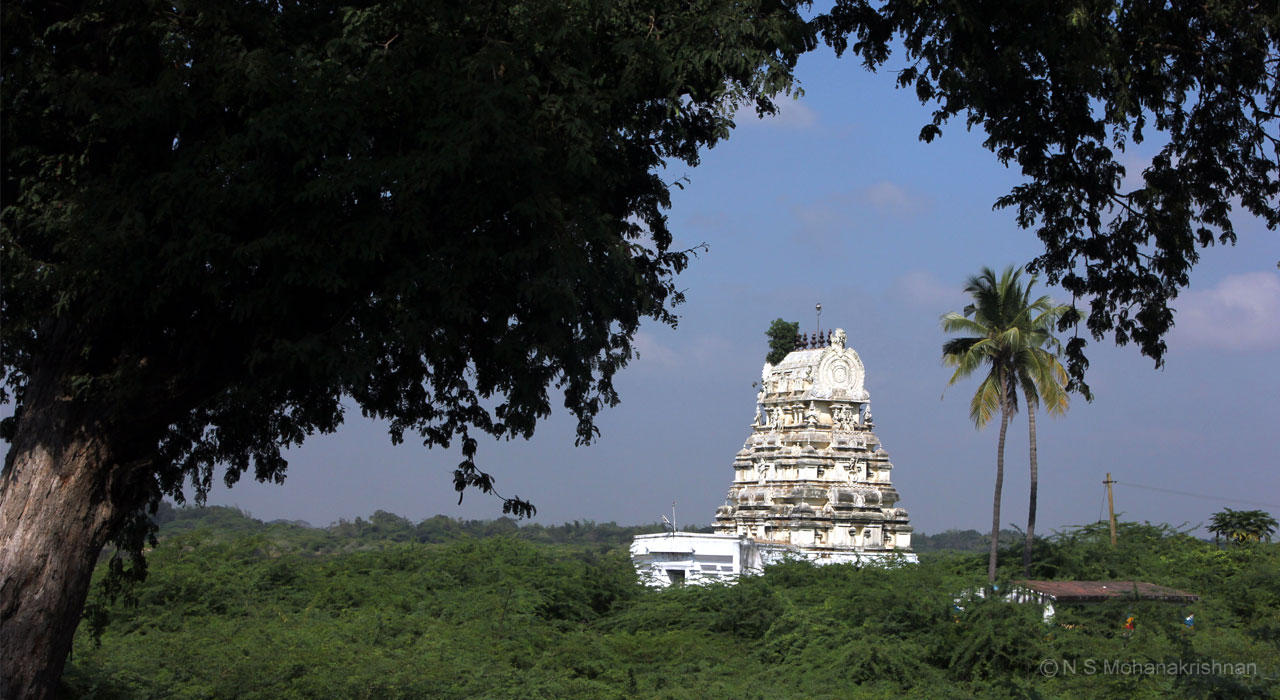 vadarangam-perumal-1
