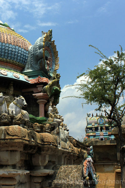 sakkottai-sivan-3