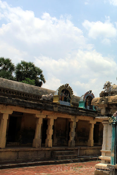sakkottai-sivan-4
