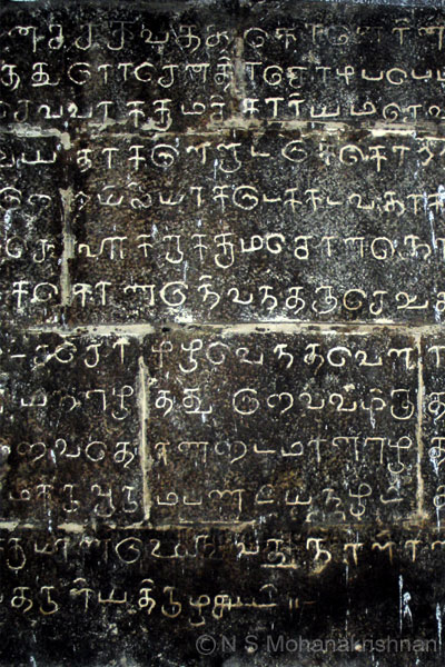 madhyarjunaswamy-2