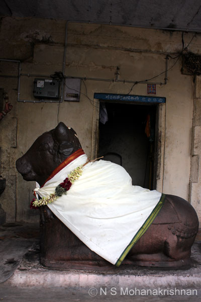 mangalyeswar-4