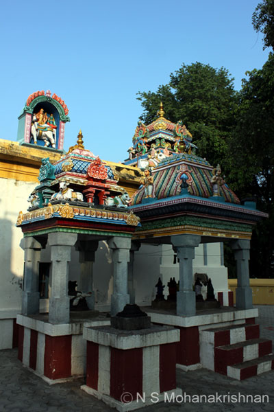 mayuranadar-mrangam-4