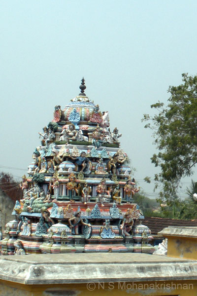 murugur-sitrambalanadar-2